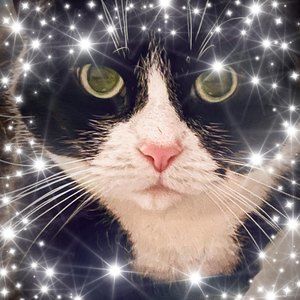 Meet your Posher, Frances fray